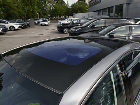 2026�� ˫�� 2.5HG ����