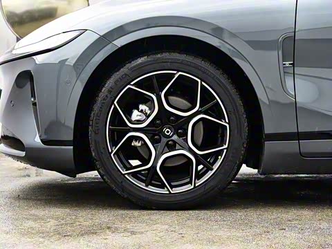 2026�� �����������̰� 310�콢��