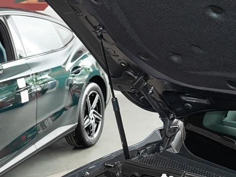 2026�� 2.0T Trophy+ �����˶���