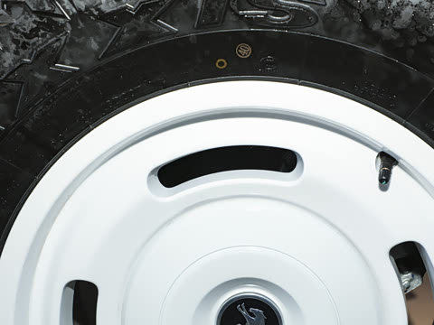 2025�� 2.3T 1966��Ű�