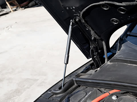 2024�� RS 5 2.9T Sportback ȼ���