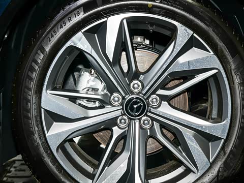 2025�� ����200�����˶���