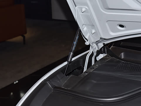 2025�� 600 ������