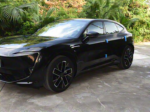 2025�� Max �����