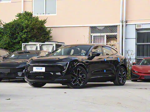 2025�� Max �����