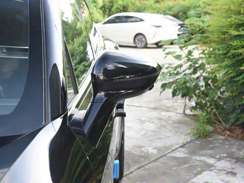 2025�� Max �����