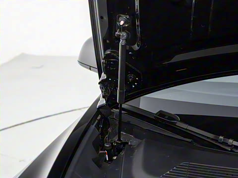 2025�� �Ŀ� ����������