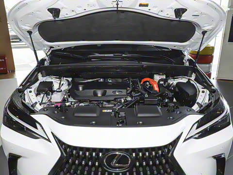 2025�� 350h JOY X