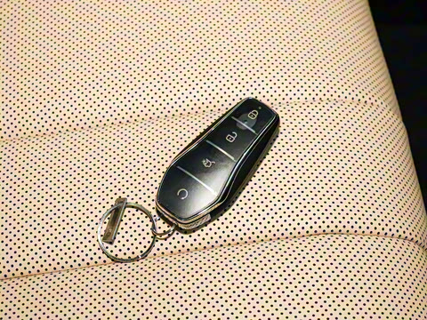 2026�� DM-i 220KM׿Խ��