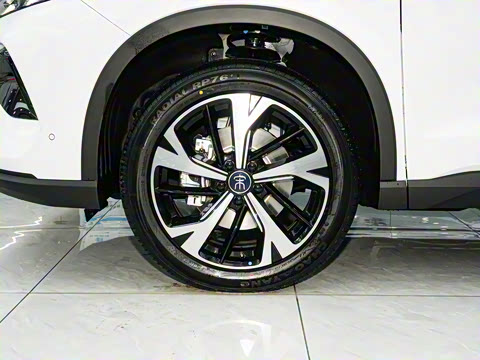 2026�� DM-i 220KM׿Խ��