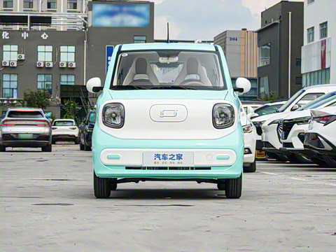 2026�� 222km �Ų���