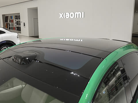 2025�� ������������Pro��