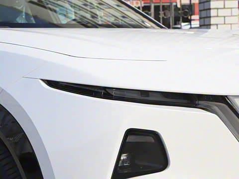 2025�� ����600 Max