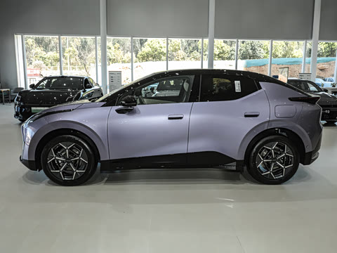 2025�� 530km ����Pro