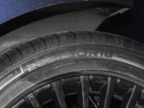 2026�� 205km ������