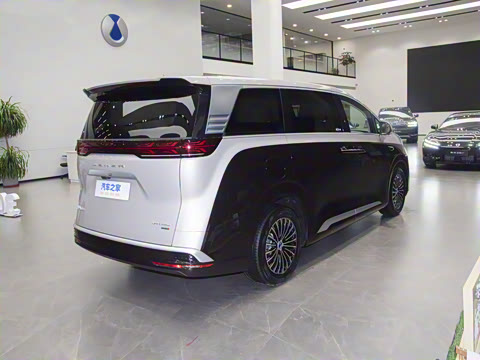 2025�� DM-i ����������