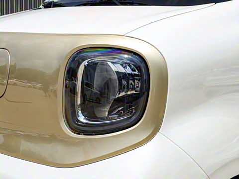 2026�� 222km ��ҫ��