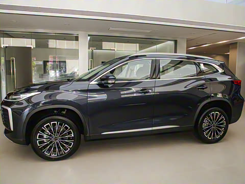 2025�� 300T �����ǹ��