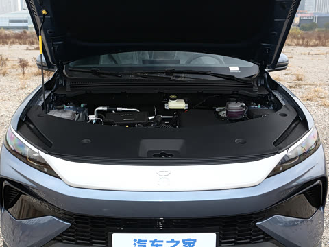 2026�� DM-i 133KM��ȡ��