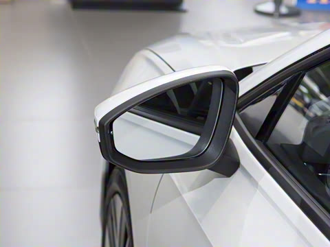 2026�� L 300TSI DSG ʱ����