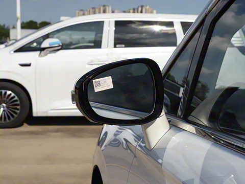 2025�� EV �������������