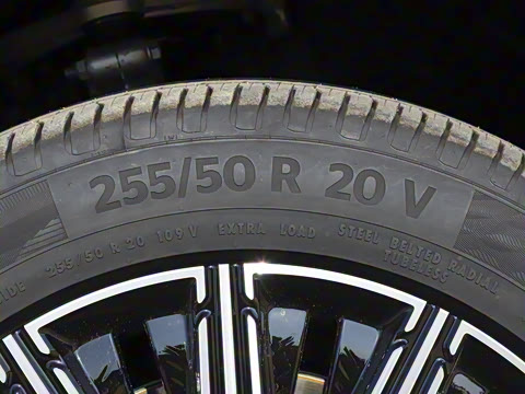 2025�� EV ����׿Խ������