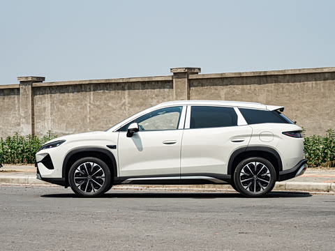 2026�� DM-i 310KM ��Խ��