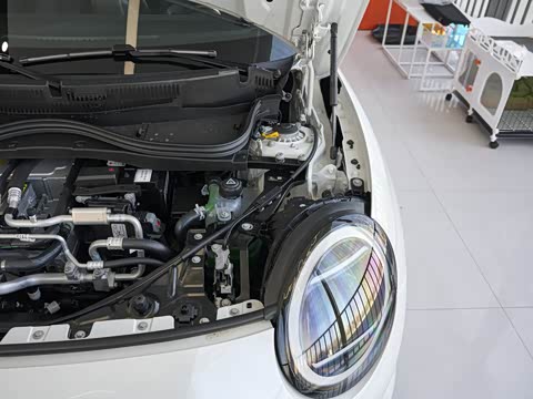 2026�� 463km COOPER SE ������