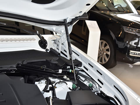 2026�� 110 3.0T P400 X-Dynamic HSE