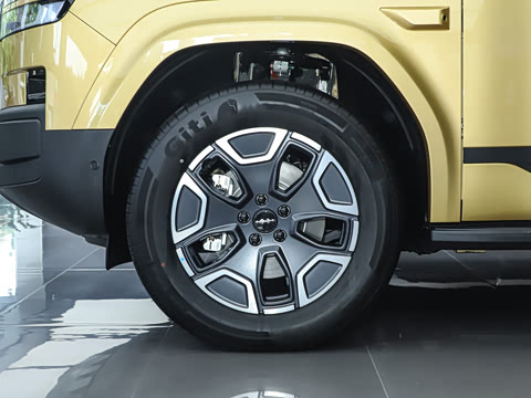 2025�� 135KM����Pro��