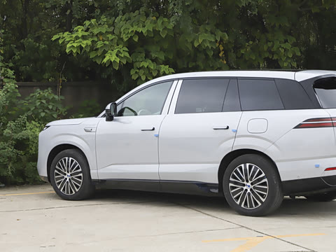 2025�� ������