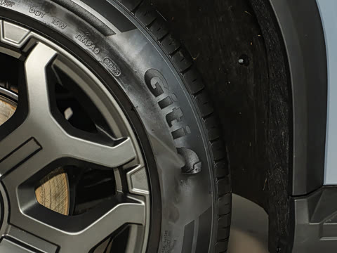 2025�� 120km ���ּӳ��� 7��