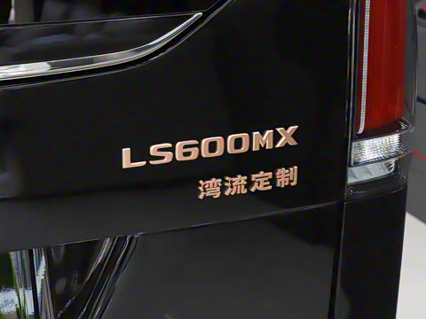 2025�� LS600MX ��������