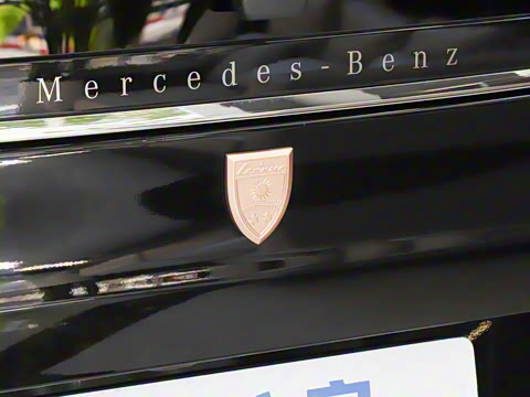 2025�� LS600MX ��������