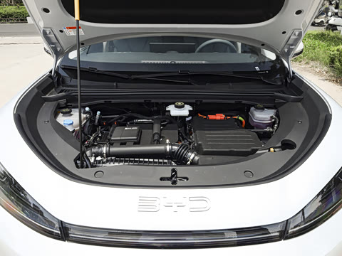 2026�� DM-i 305�캽��