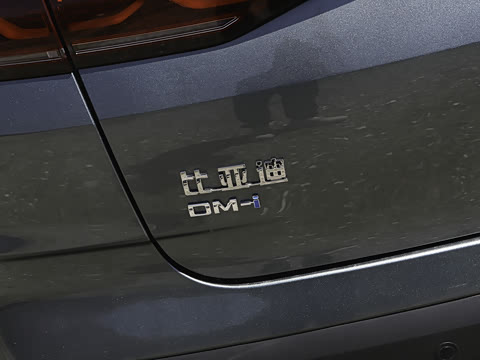 2026�� DM-i 210KM��Խ��