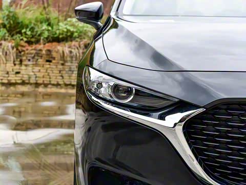 2025�� 1.5L �ֶ�������