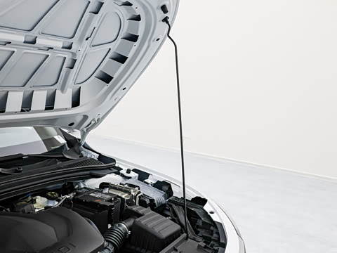 2026�� 1.5L �����