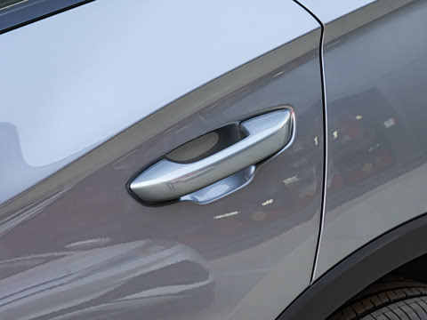 2026�� DM-i 220KM��Խ��