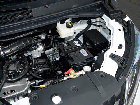 2026�� 2.0L �ֶ����������� 7�� CNG