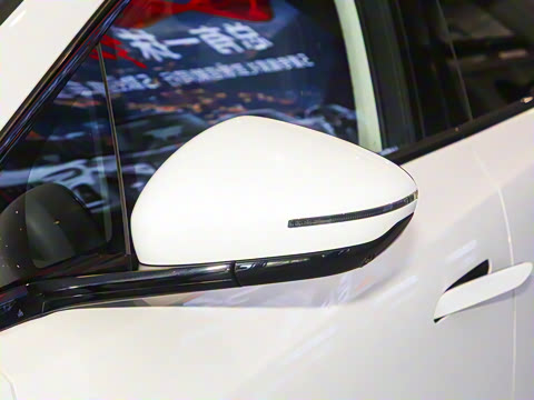 2025�� 520 ��ѡ��