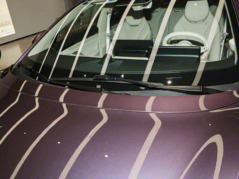 2025�� 705km Pro