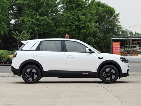 2026�� 310������