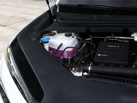 2026�� DM-i 175kW�캽Pro��