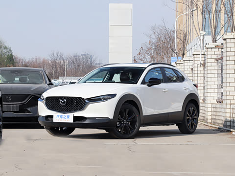 2025�� 2.0L �Զ�������