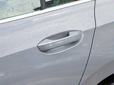 2026�� 300TSI Pro