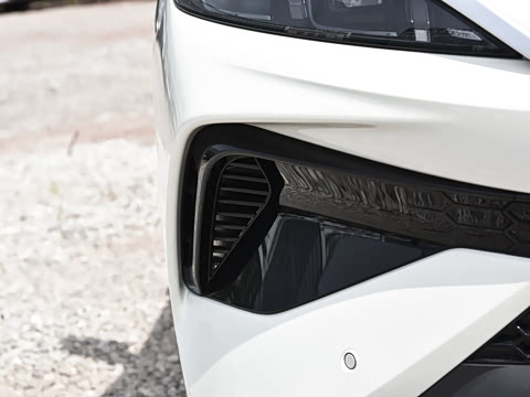 2026�� DM-i 220KM��Խ��