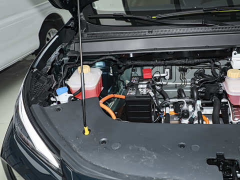 2025�� 530�캽��