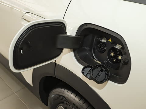 2026�� 310������