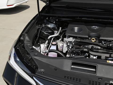 2026�� ˫�� 2.0L ��ѡ��